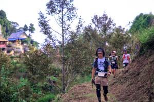 BIB: 53975
                            <button type="button" onclick="openModal(24848267)" class="btn btn-primary btn-sm float-right btn-popup" data-toggle="modal" data-target=".modal-high-quality">
                        <i class="fas fa-shopping-cart"></i> Add to Cart
                    </button>
                                            <button type="button" onclick="isThisMe(24848267, true)" class="btn btn-success btn-sm float-right btn-popup btn-isme hidden" data-toggle="tooltip" data-placement="bottom" title="นี่คือรูปของคุณใช่ไหม คลิกที่นี่เพื่อเอาเข้าอัลบั้ม">
                        <i class="fas fa-plus"></i> Add to album
                    </button>
                    <button type="button" onclick="isThisMe(24848267, false)" class="btn btn-warning btn-sm float-right btn-popup btn-isnotme hidden">
                        <i class="fas fa-ban"></i> Remove from album
                    </button>